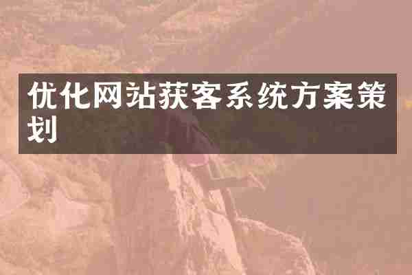 优化网站获客系统方案策划