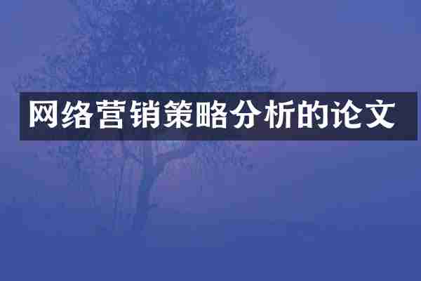 网络营销策略分析的论文