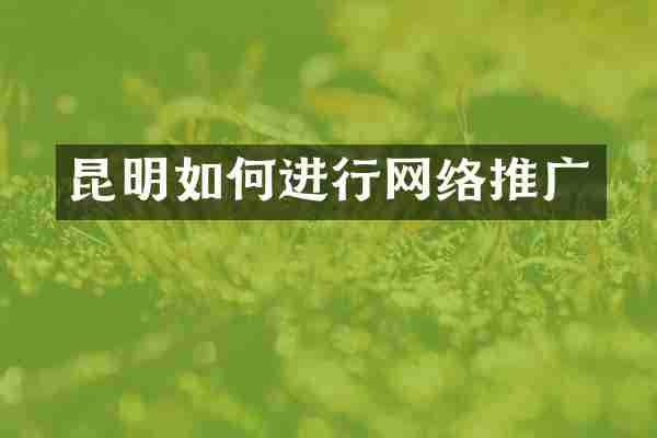 昆明如何进行网络推广