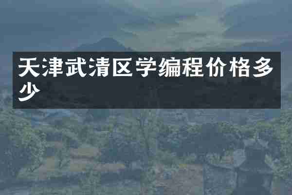 天津武清区学编程价格多少
