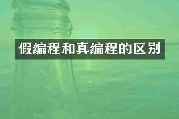 假编程和真编程的区别