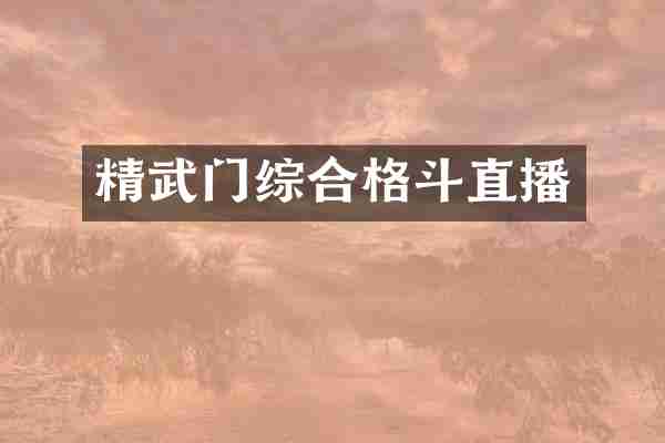 精武门综合格斗直播