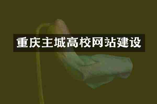 重庆主城高校网站建设