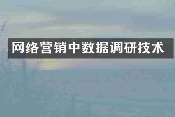 网络营销中数据调研技术