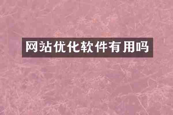 网站优化软件有用吗