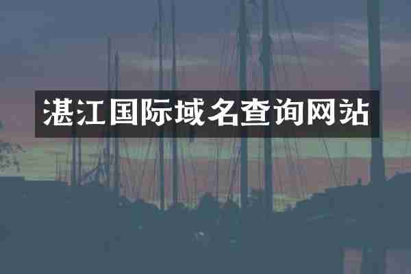 湛江国际域名查询网站