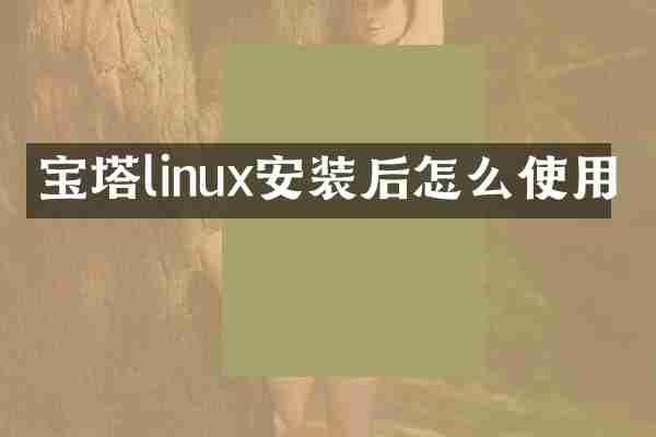 宝塔linux安装后怎么使用