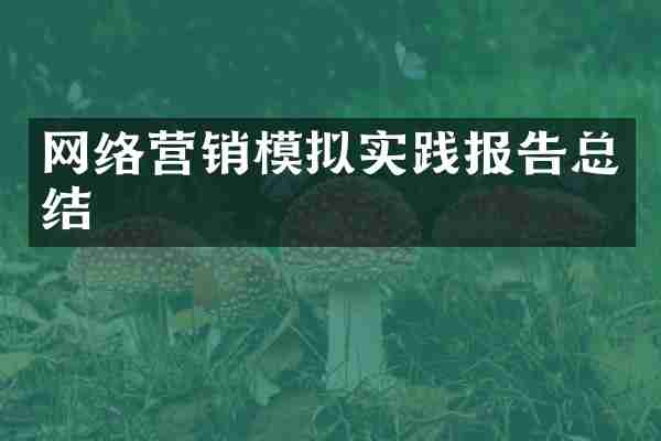 网络营销模拟实践报告总结