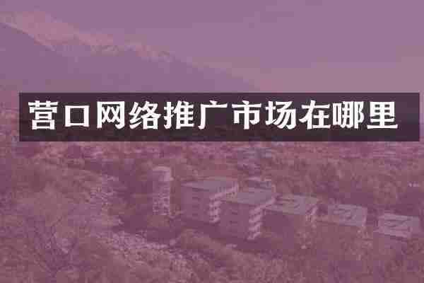 营口网络推广市场在哪里