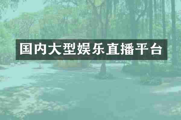 国内大型娱乐直播平台