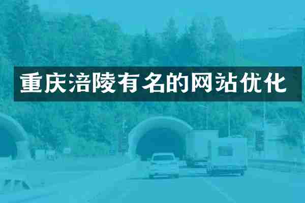 重庆涪陵有名的网站优化