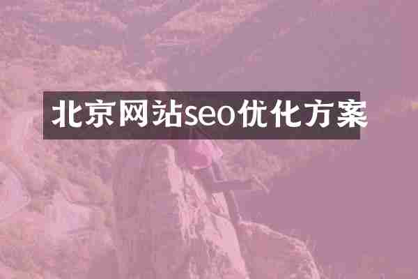 北京网站seo优化方案