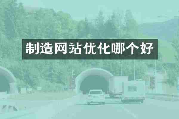 制造网站优化哪个好