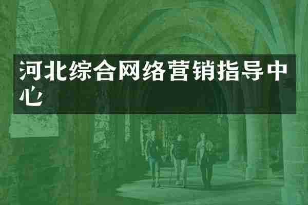 河北综合网络营销指导中心