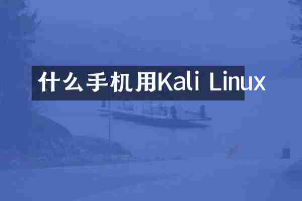 什么手机用Kali Linux