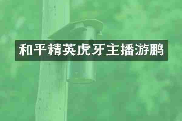 和平精英虎牙主播游鹏