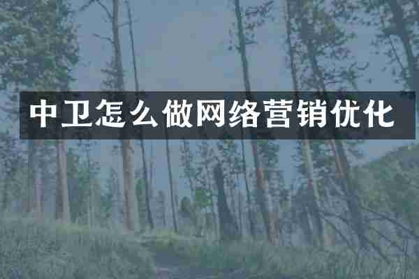 中卫怎么做网络营销优化