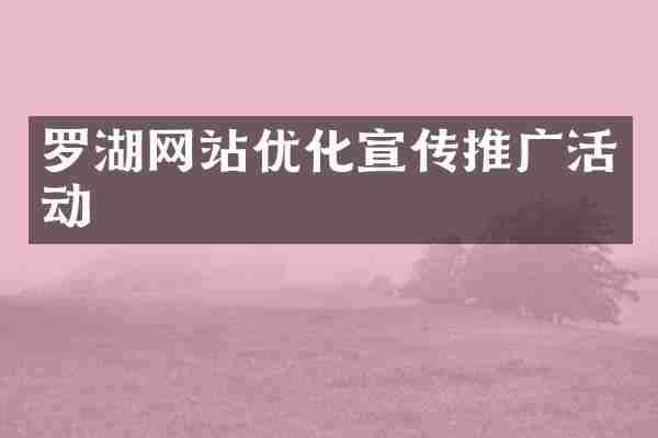 罗湖网站优化宣传推广活动