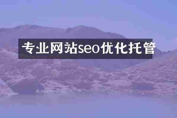 专业网站seo优化托管