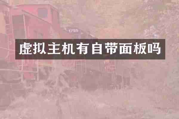 虚拟主机有自带面板吗