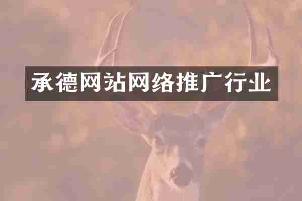承德网站网络推广行业