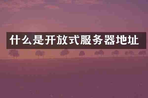 什么是开放式服务器地址