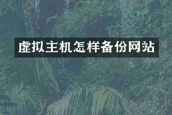 虚拟主机怎样备份网站