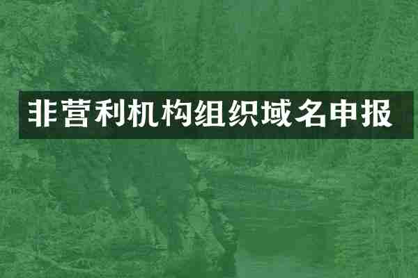 非营利机构组织域名申报
