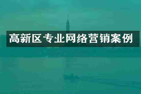高新区专业网络营销案例