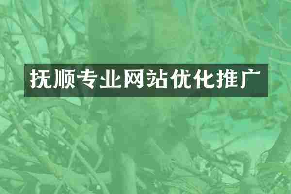 抚顺专业网站优化推广