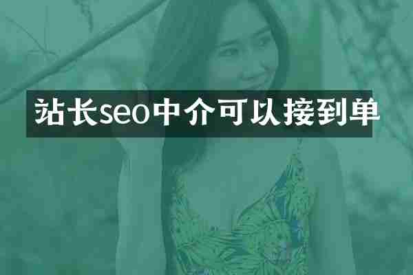 站长seo中介可以接到单