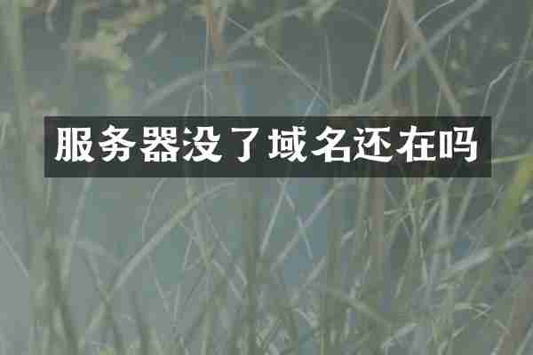 服务器没了域名还在吗