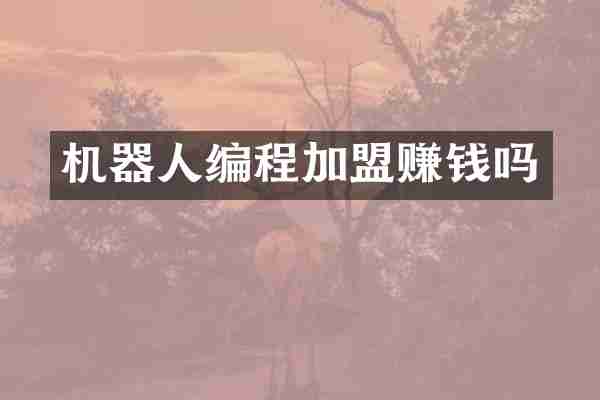 机器人编程加盟赚钱吗