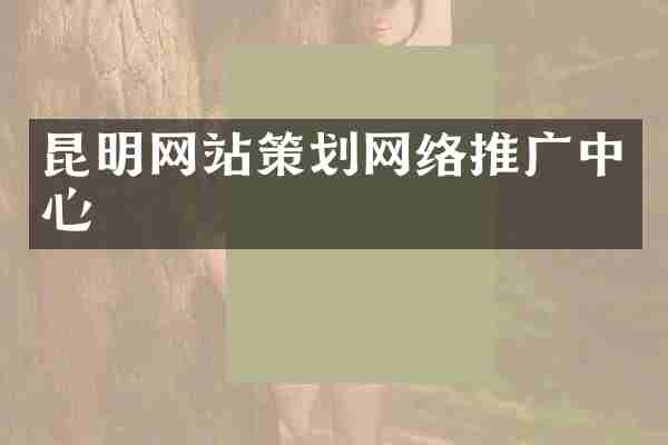昆明网站策划网络推广中心