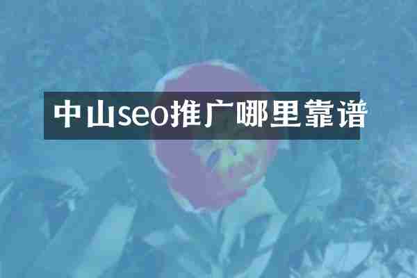 中山seo推广哪里靠谱