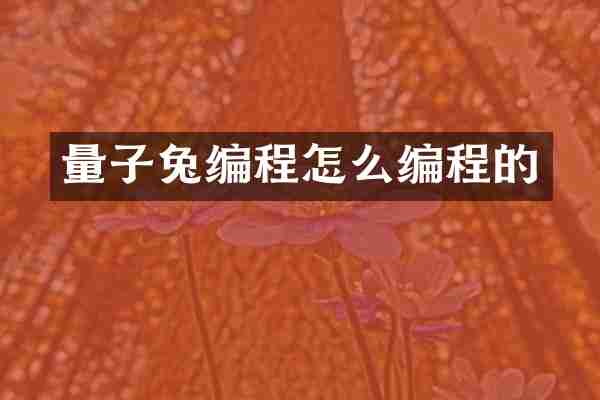 量子兔编程怎么编程的