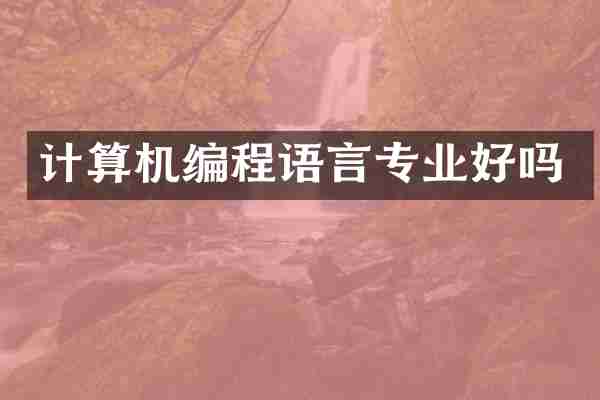 计算机编程语言专业好吗