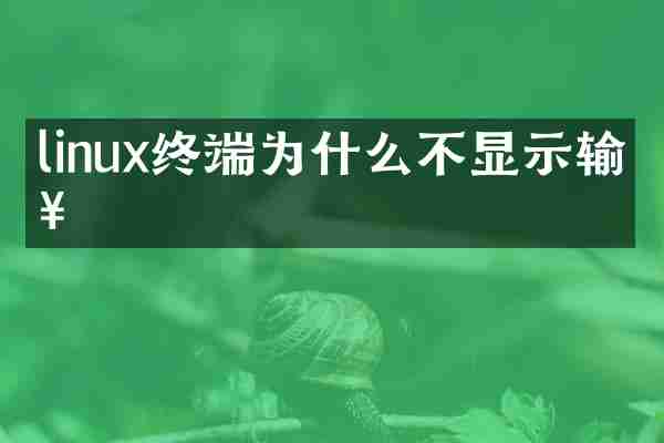 linux终端为什么不显示输入