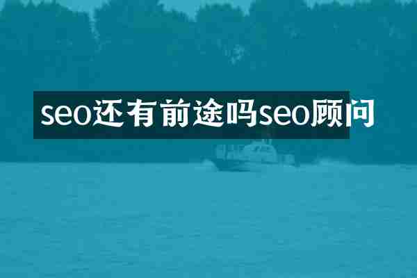 seo还有前途吗seo顾问