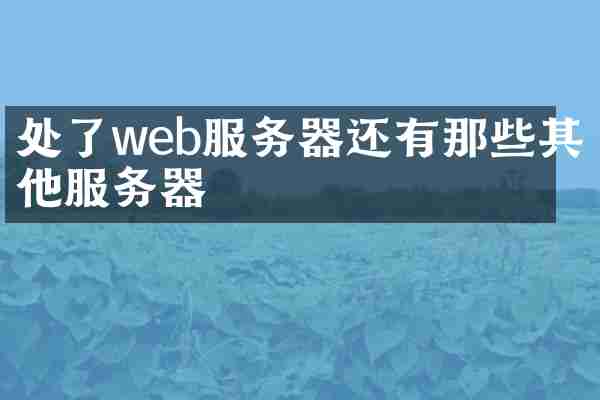 处了web服务器还有那些其他服务器