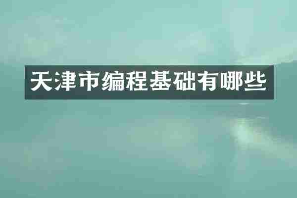 天津市编程基础有哪些