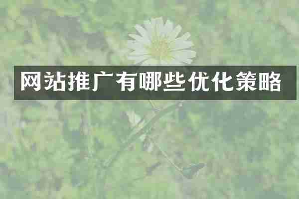 网站推广有哪些优化策略