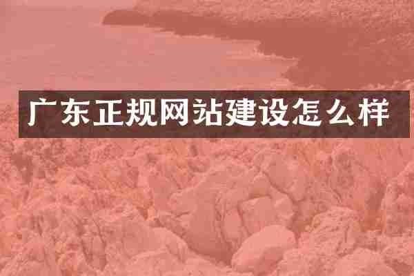 广东正规网站建设怎么样