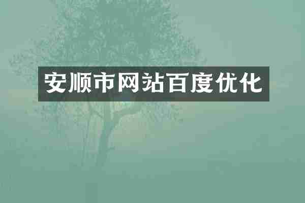安顺市网站百度优化