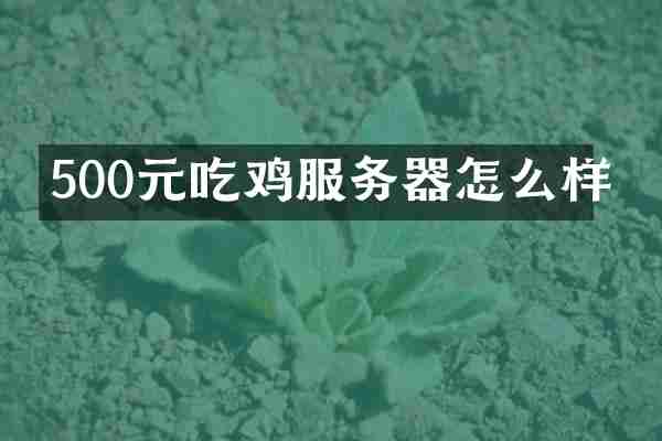 500元吃鸡服务器怎么样