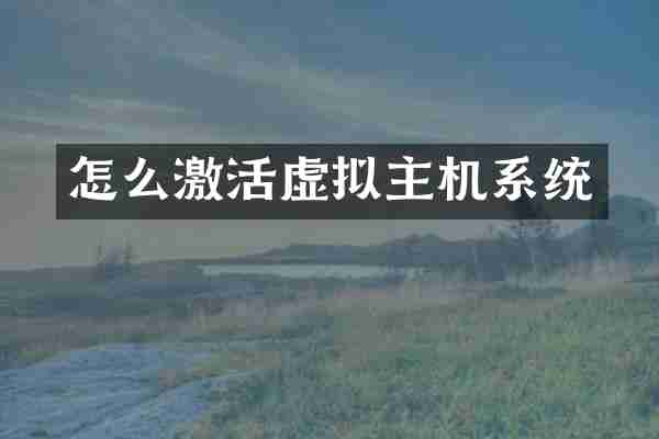 怎么激活虚拟主机系统