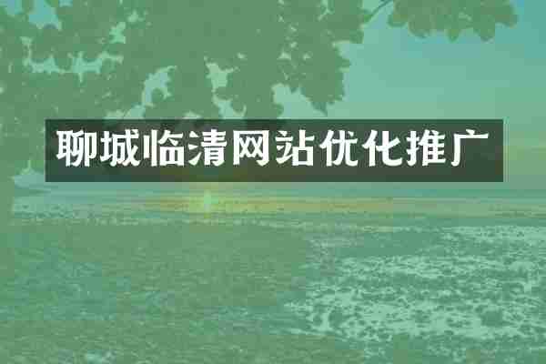 聊城临清网站优化推广