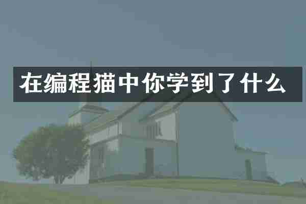 在编程猫中你学到了什么