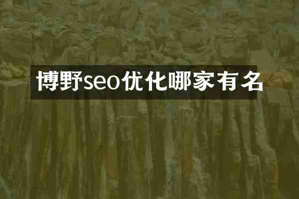 博野seo优化哪家有名