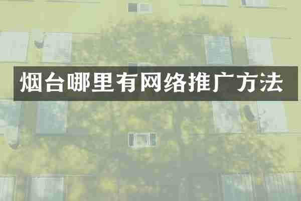 烟台哪里有网络推广方法